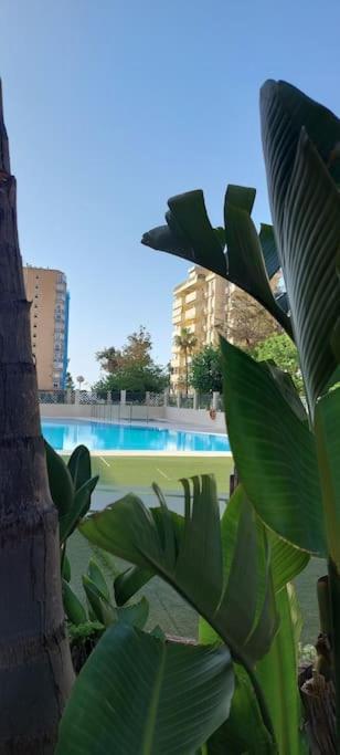 Elegante Alojamiento Con Piscina A 200 M Del Mar. Benalmádena Exterior photo